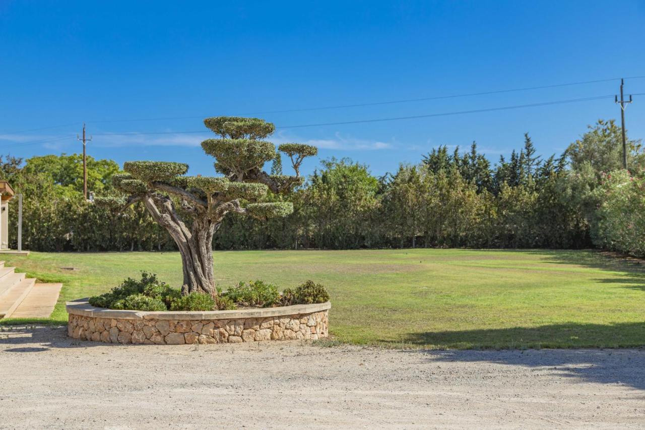 Villa Can Magnus Alcudia  Exterior foto